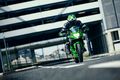 Motocykl Kawasaki Ninja 125 zelená / 2023