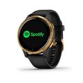Garmin Venu Gold / Black Band