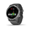Garmin vívoactive4 Silver, Gray Band