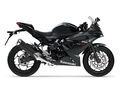 Motocykl Kawasaki Ninja 125 černá / 2027
