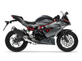 Motocykl Kawasaki Ninja 125 šedá / 2027