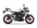 Motocykl Kawasaki Z500 SE bílá / 2026
