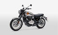 Motocykl BSA Gold Star 650 INSIGNIA - Dawn Silver
