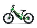 ELEKTRODE 20 Kawasaki 2025 ELEKTRODE 20 Kawasaki 2025