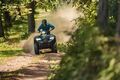 Čtyřkolka Kawasaki Brute Force 450 T-CAT modrá 2025 Čtyřkolka Kawasaki Brute Force 450 T-CAT modrá 2025