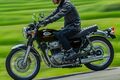 Motocykl Kawasaki W800 zlatá půlnoční / 2025 Motocykl Kawasaki W800 zlatá půlnoční / 2025