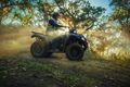 Čtyřkolka Kawasaki Brute Force 450 T-CAT modrá 2025 Čtyřkolka Kawasaki Brute Force 450 T-CAT modrá 2025