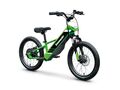 ELEKTRODE 20 Kawasaki 2025 ELEKTRODE 20 Kawasaki 2025