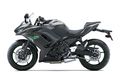 Motocykl Kawasaki Ninja 650 šedá / 2023