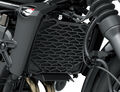 Motocykl Kawasaki Eliminator 500 SE šedý / 2025