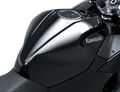 Motocykl Kawasaki Ninja 500 černá / 2024