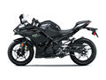 Motocykl Kawasaki Ninja 500 černá / 2024