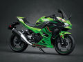 Motocykl Kawasaki Ninja 500 SE zelená / 2024