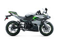 Motocykl Kawasaki Ninja e-1 stříbrná / 2024