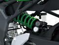 Motocykl Kawasaki Ninja ZX-4RR zelená / 2024