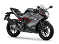 Motocykl Kawasaki Ninja 125 šedá / 2027