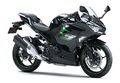 Motocykl Kawasaki Ninja 400 šedá / 2023