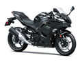 Motocykl Kawasaki Ninja 500 černá / 2024