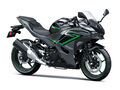 Motocykl Kawasaki Ninja 500 SE šedá / 2024 - PADACÍ PROTECTORY ZDARMA - V REZERVACI