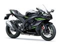 Motocykl Kawasaki Ninja ZX10-R šedá / 2024