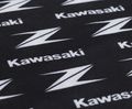 Nákrčník Kawasaki Zed