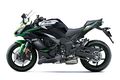 Motocykl Kawasaki Ninja 1000SX zelená / 2023