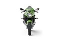 Motocykl Kawasaki Ninja 125 zelená / 2022