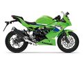 Motocykl Kawasaki Ninja 125 zelená KRT / 2026