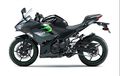 Motocykl Kawasaki Ninja 400 šedá / 2023