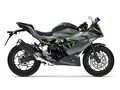 Motocykl Kawasaki Ninja 125 šedá / 2026