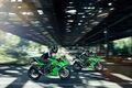Motocykl Kawasaki Ninja 125 zelená KRT / 2026