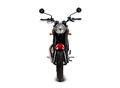 Motocykl BSA Gold Star 650 INSIGNIA - Insignia Red