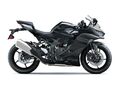 Motocykl Kawasaki Ninja ZX-4RR šedá / 2026