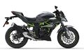 Motocykl Kawasaki Z125 šedá / 2023