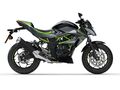 Motocykl Kawasaki Z 125 šedá / 2026