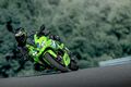 Motocykl Kawasaki Ninja ZX-4RR zelená / 2026