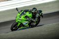 Motocykl Kawasaki Ninja ZX-4RR zelená / 2026