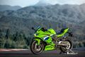 Motocykl Kawasaki Ninja ZX-4RR zelená / 2026