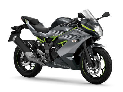 Motocykl Kawasaki Ninja 125 šedá / 2026 Motocykl Kawasaki Ninja 125 šedá / 2026