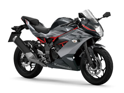 Motocykl Kawasaki Ninja 125 šedá / 2027