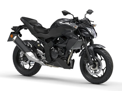 Motocykl Kawasaki Z125 černá / 2027