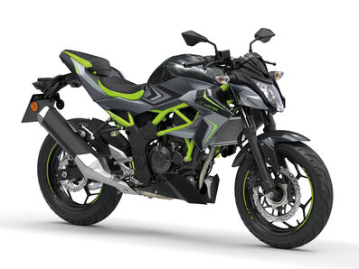 Motocykl Kawasaki Z125 šedá / 2026 Motocykl Kawasaki Z125 šedá / 2026