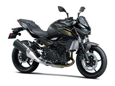 Motocykl Kawasaki Z500 šedá / 2026