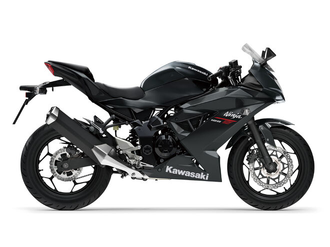 Motocykl Kawasaki Ninja 125 černá / 2027