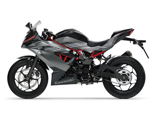 Motocykl Kawasaki Ninja 125 šedá / 2027