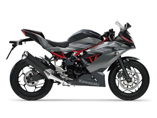 Motocykl Kawasaki Ninja 125 šedá / 2027
