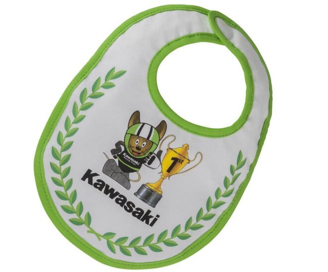 Bryndáček Kawasaki