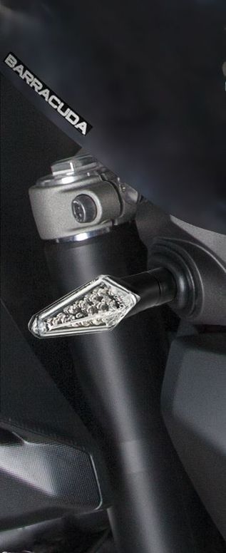 Blinkry Barracuda SILUR