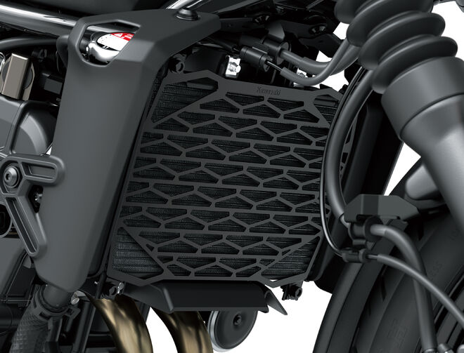 Motocykl Kawasaki Eliminator 500 SE šedý / 2025