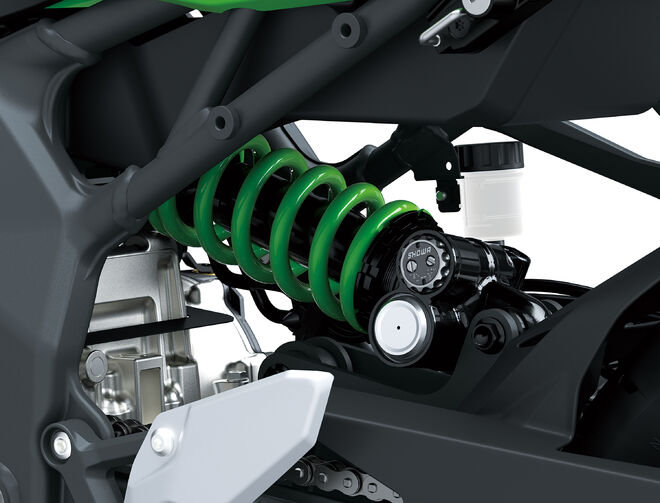 Motocykl Kawasaki Ninja ZX-4RR zelená / 2024